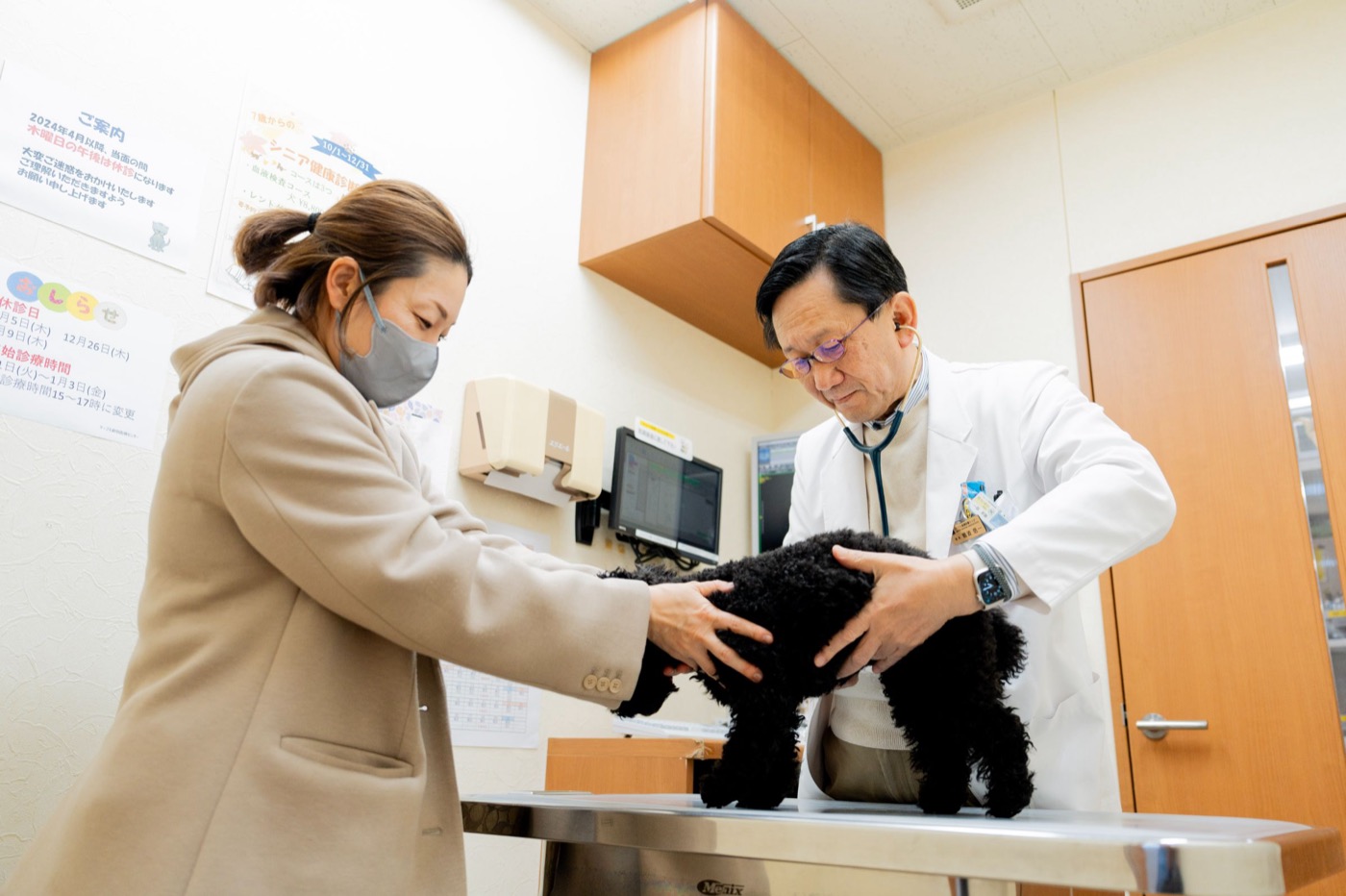 飼い主様と一緒に診察する様子